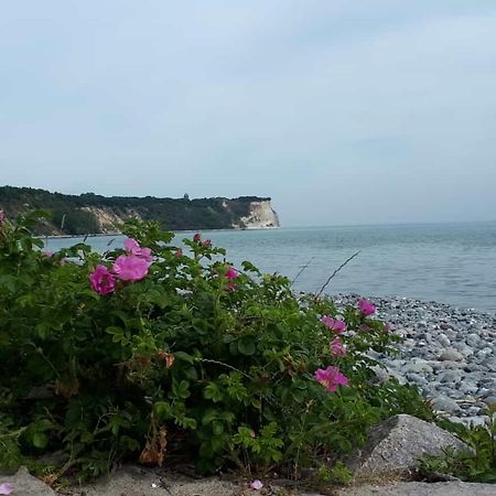 Hering Fewo I Apartment Terrace Wiek auf Rügen Εξωτερικό φωτογραφία