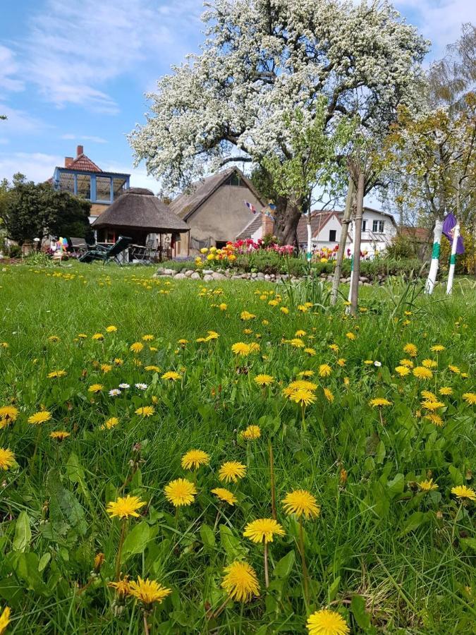Hering Fewo I Apartment Terrace Wiek auf Rügen Εξωτερικό φωτογραφία