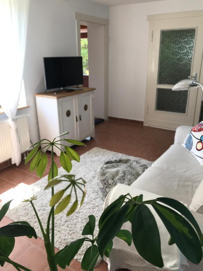 Hering Fewo I Apartment Terrace Wiek auf Rügen Εξωτερικό φωτογραφία