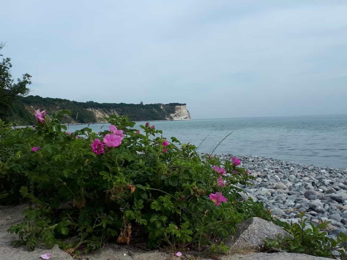 Hering Fewo I Apartment Terrace Wiek auf Rügen Εξωτερικό φωτογραφία