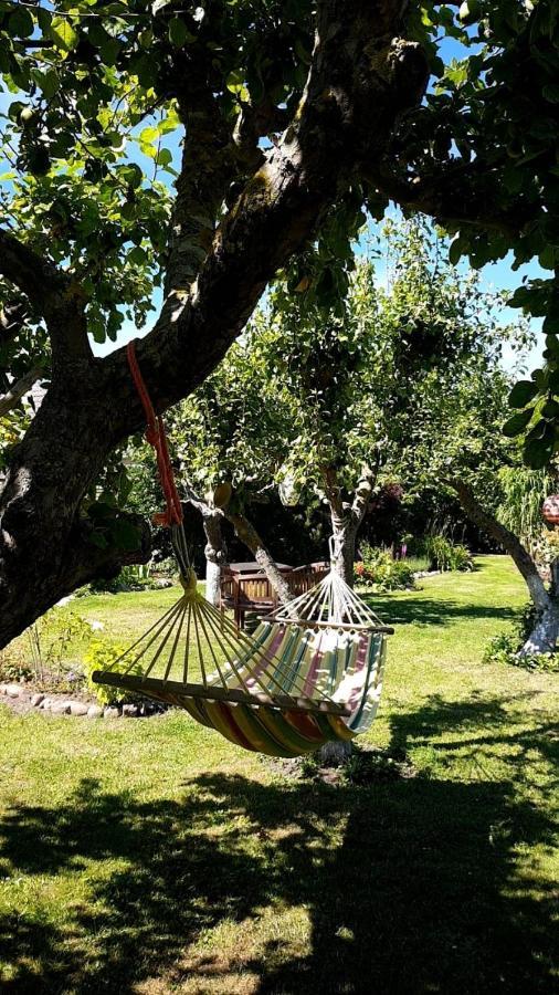 Hering Fewo I Apartment Terrace Wiek auf Rügen Εξωτερικό φωτογραφία