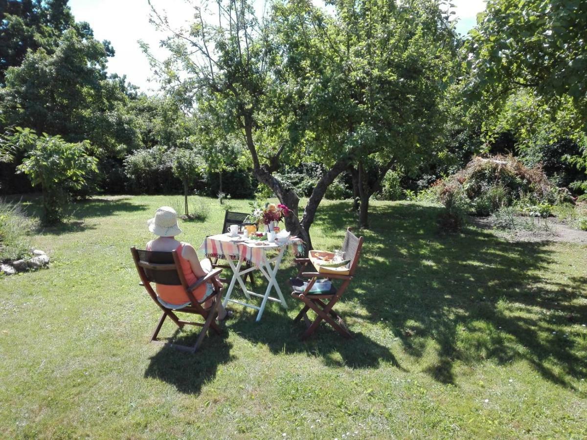 Hering Fewo I Apartment Terrace Wiek auf Rügen Εξωτερικό φωτογραφία