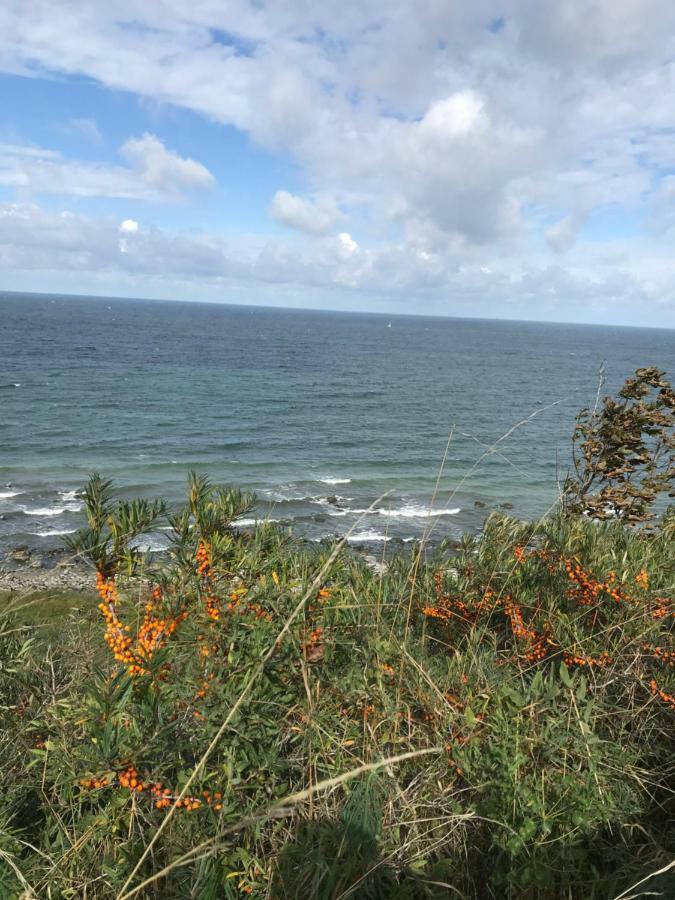 Hering Fewo I Apartment Terrace Wiek auf Rügen Εξωτερικό φωτογραφία